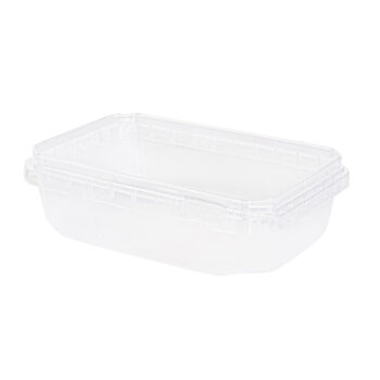 Containers With Lock Rectangle 17oz Clear